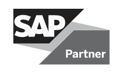 SAP Partner